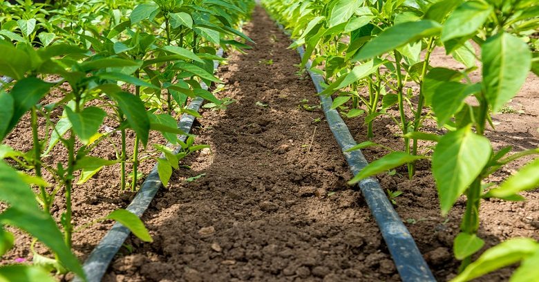 Subsidy on Drip Irrigation System