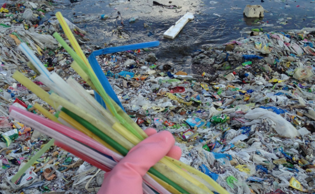 Single Use Plastic Banned in India
